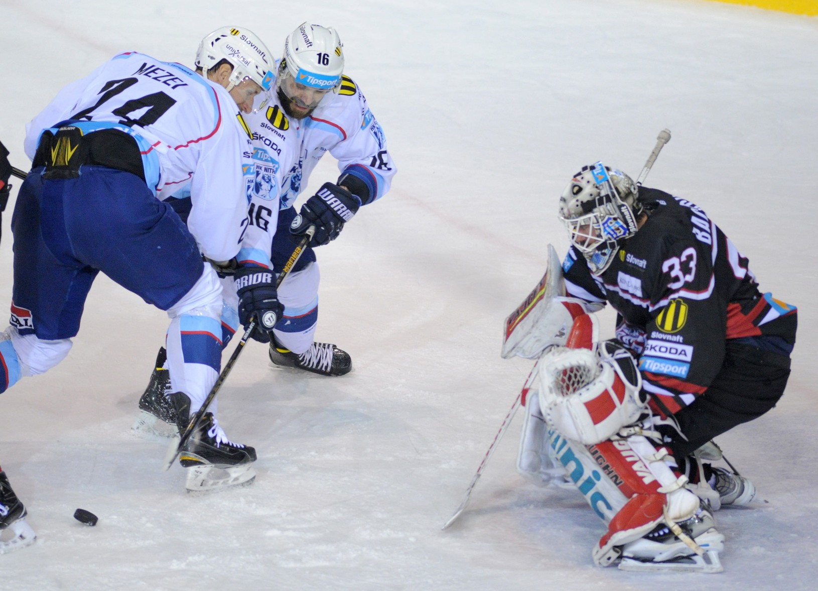 HK Nitra – HC