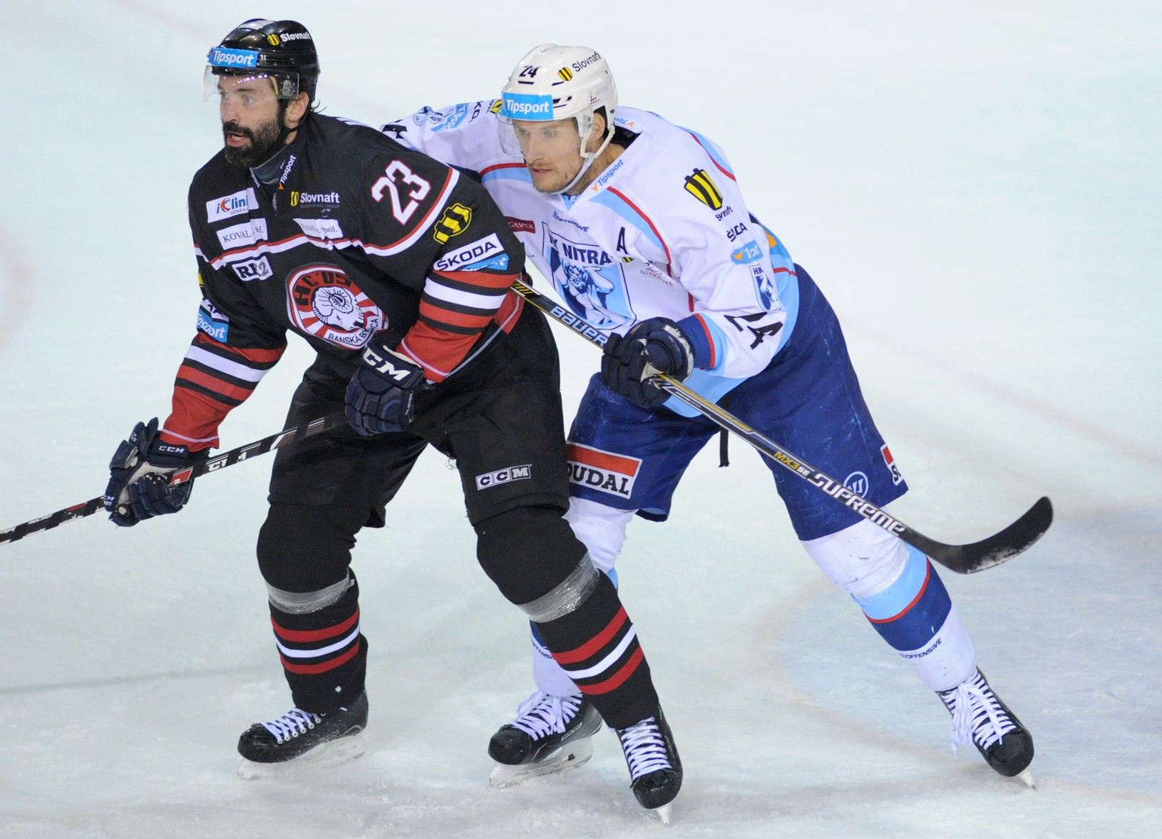 HK Nitra – HC