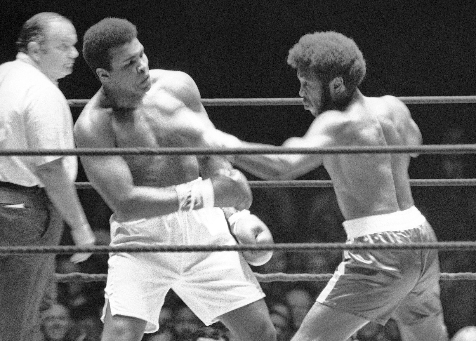 Svet opustil legendárny boxer