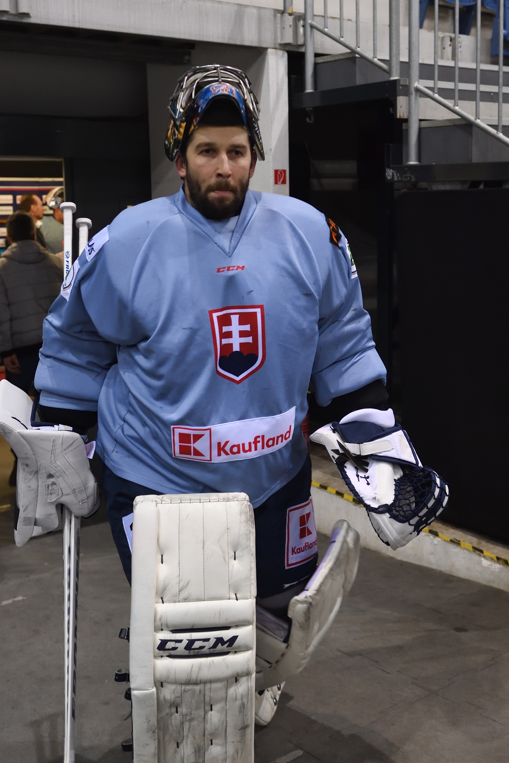 Brankár slovenskej hokejovej reprezentácie