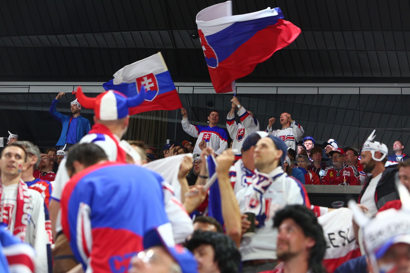 Slovenskí fanúšikovia počas zápasu