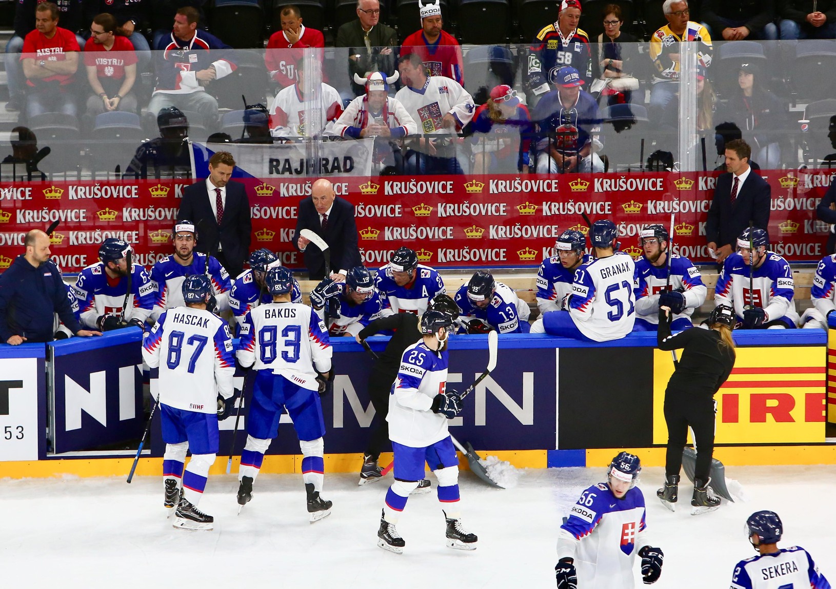 Striedačka slovenských hokejistov na