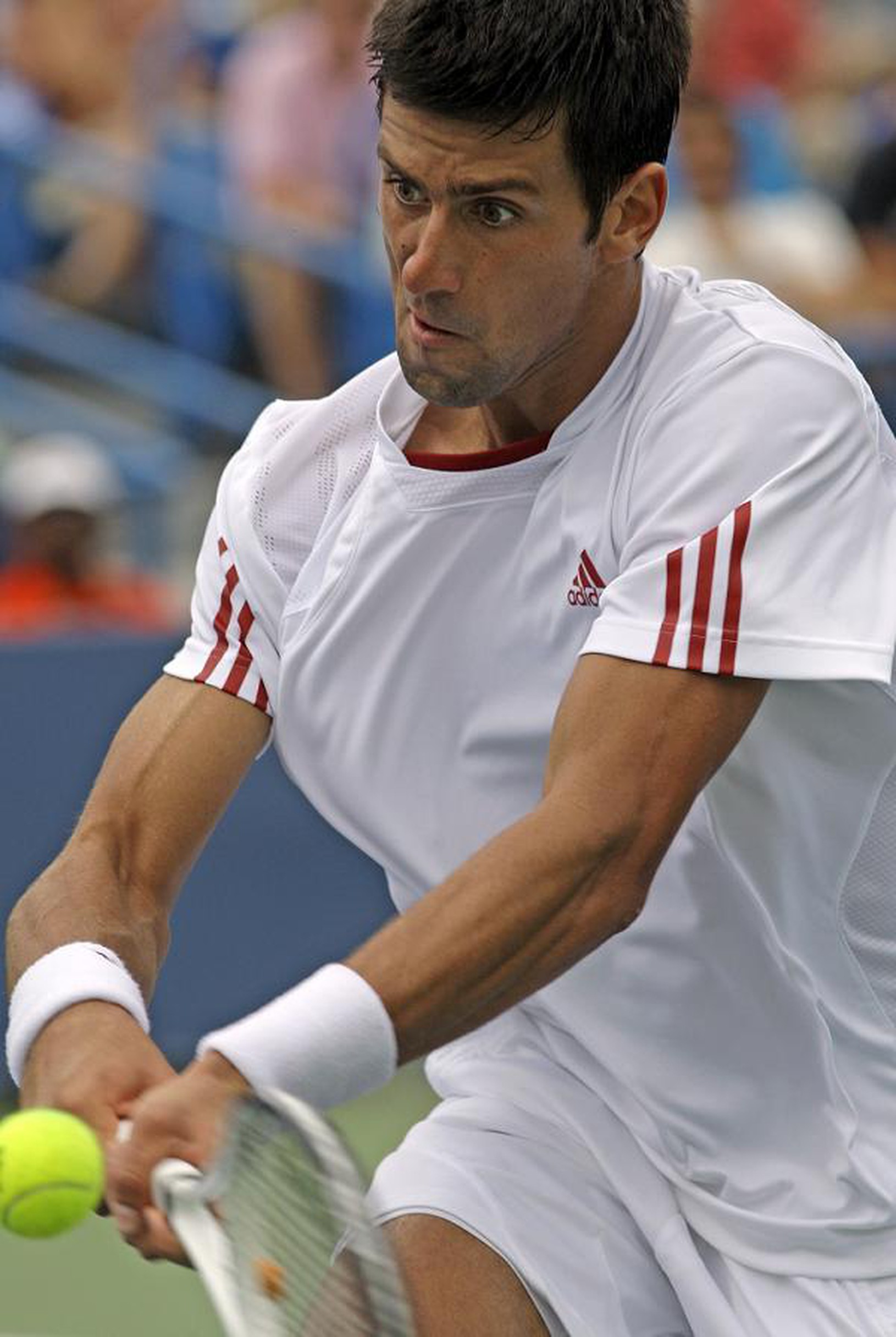 Novak Djokovič v zápase
