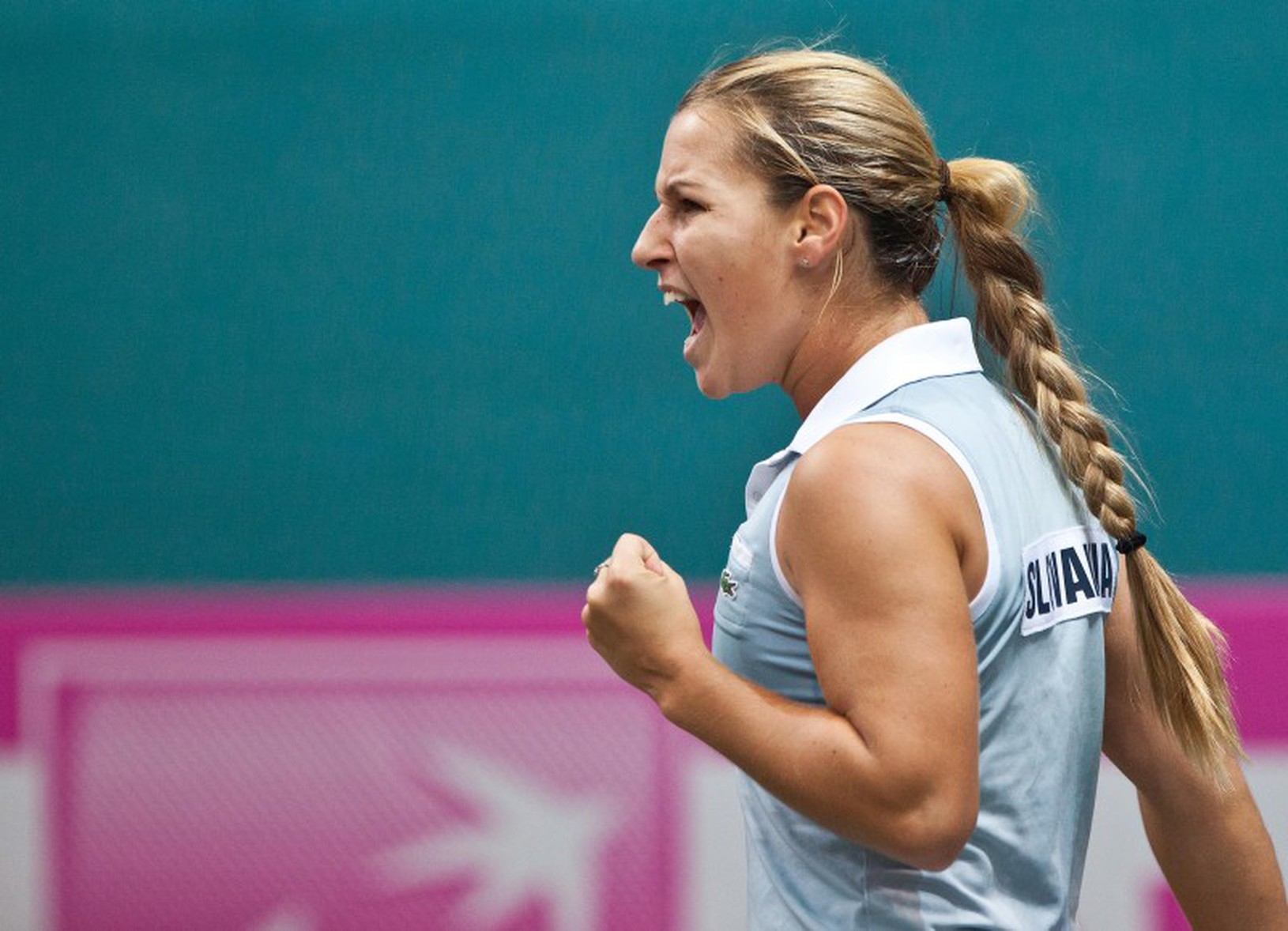 Dominika Cibulková