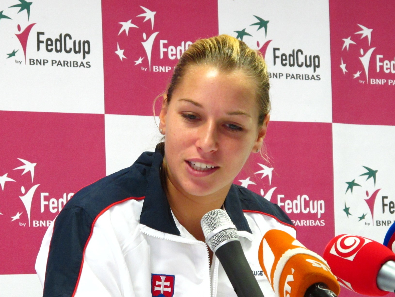 Dominika Cibulková