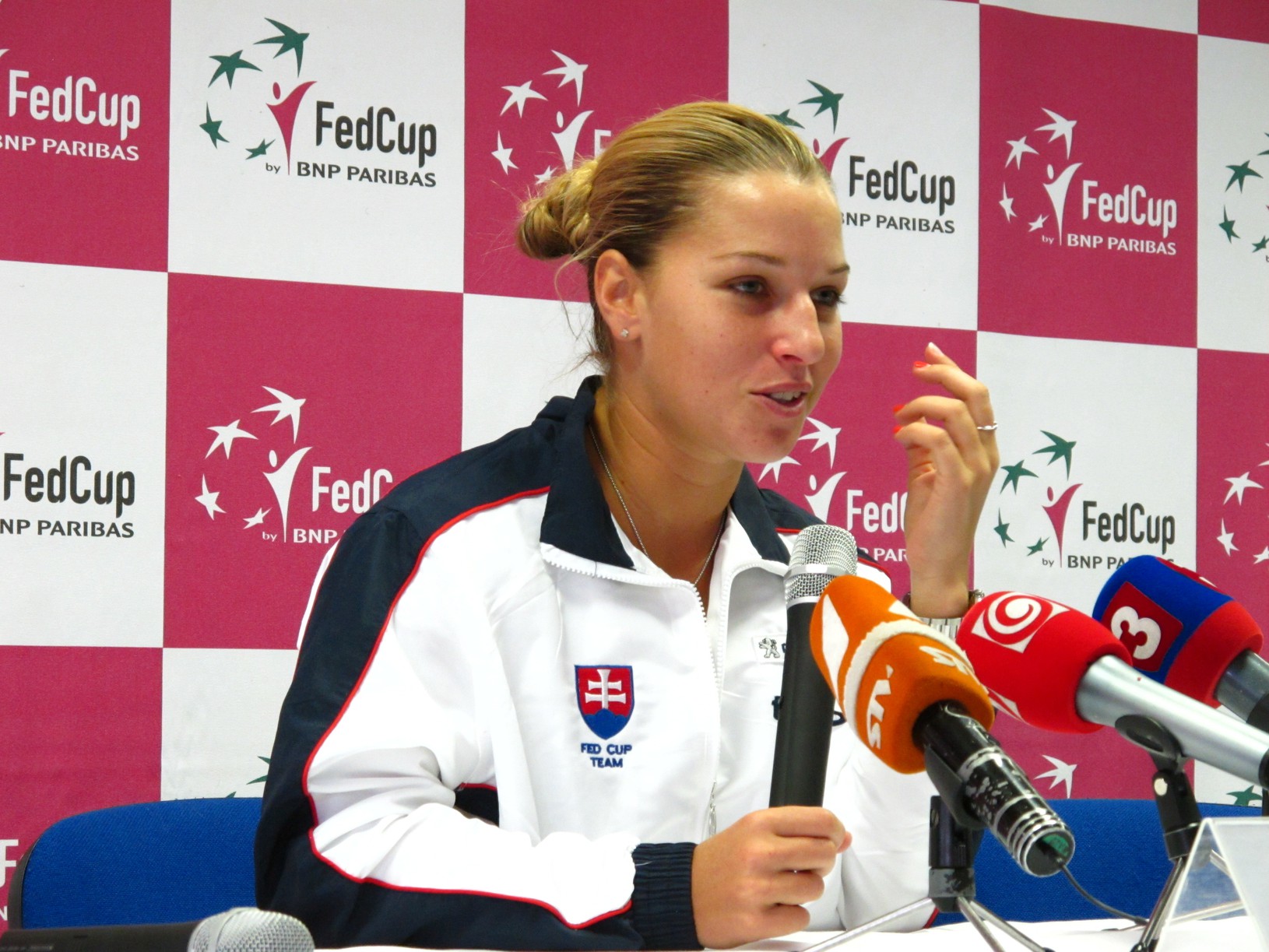 Dominika Cibulková