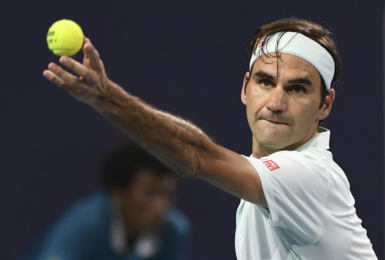 Servis Rogera Federera