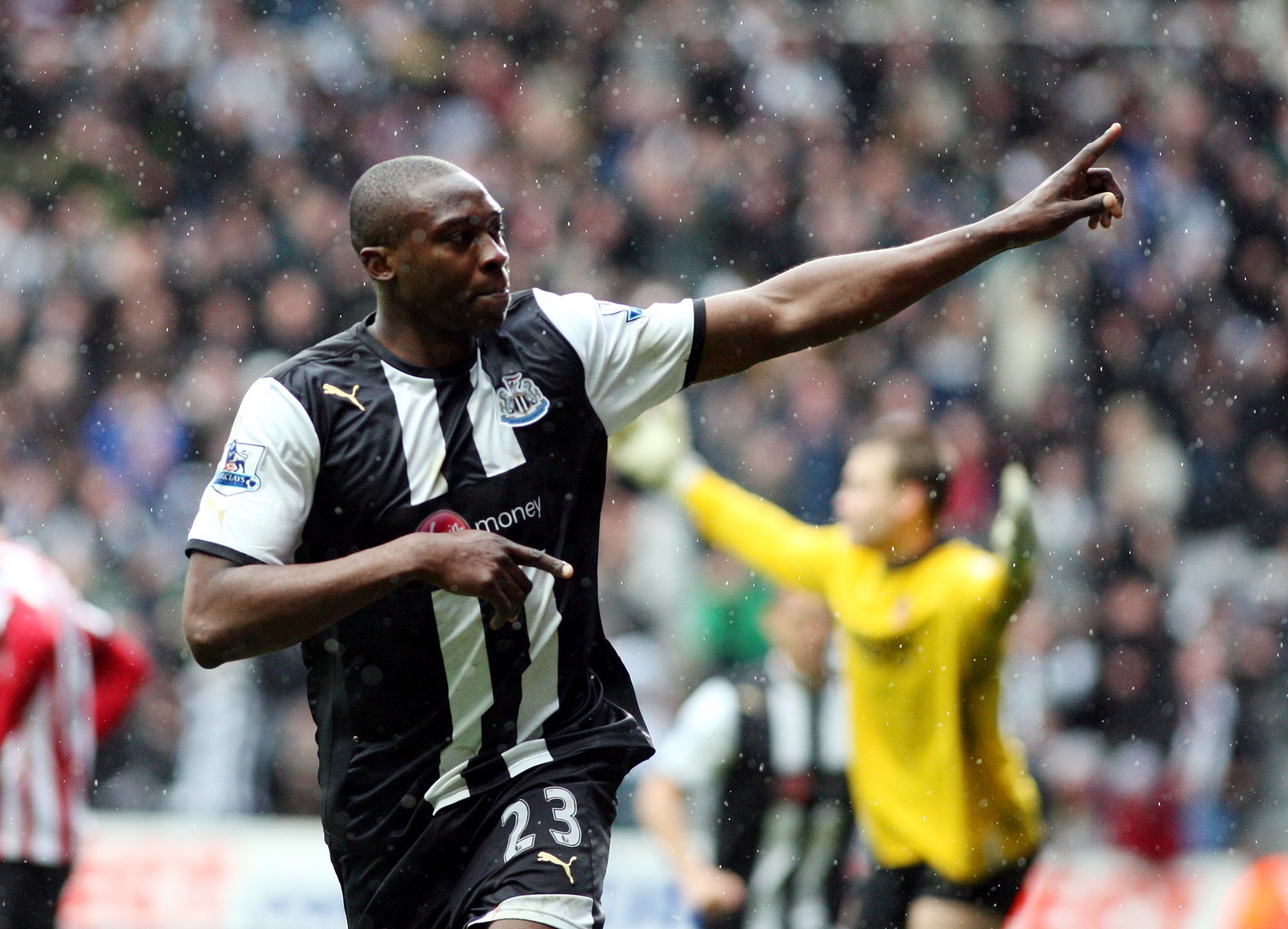 Shola Ameobi sa teší