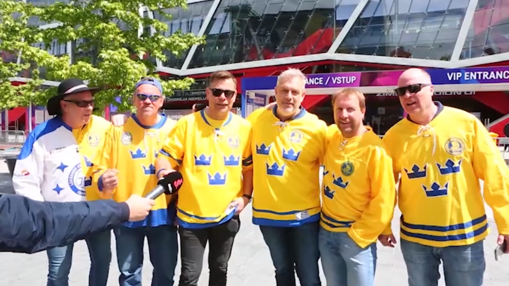 Fanúšikovia Švédska 