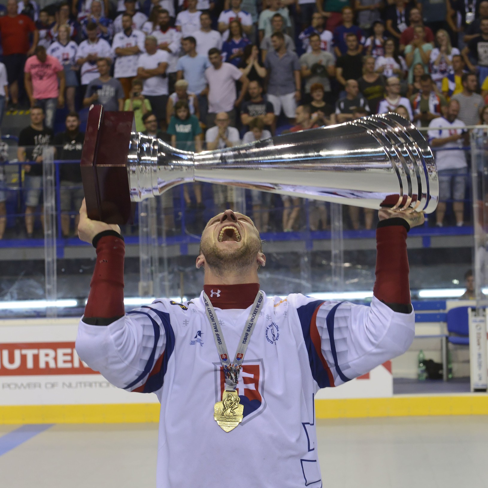 Víťazné oslavy slovenských hokejbalistov