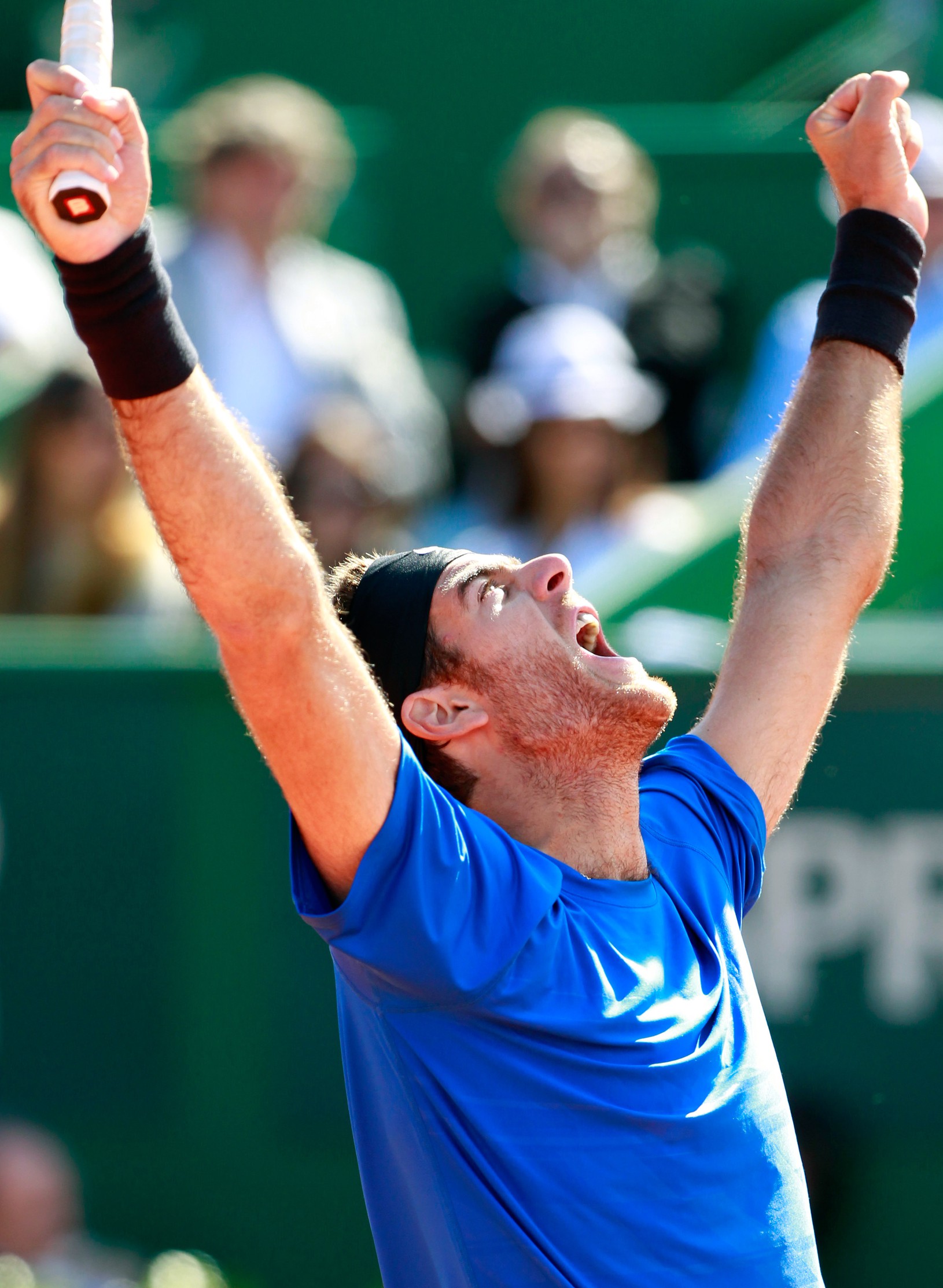 Juan Martin Del Potro