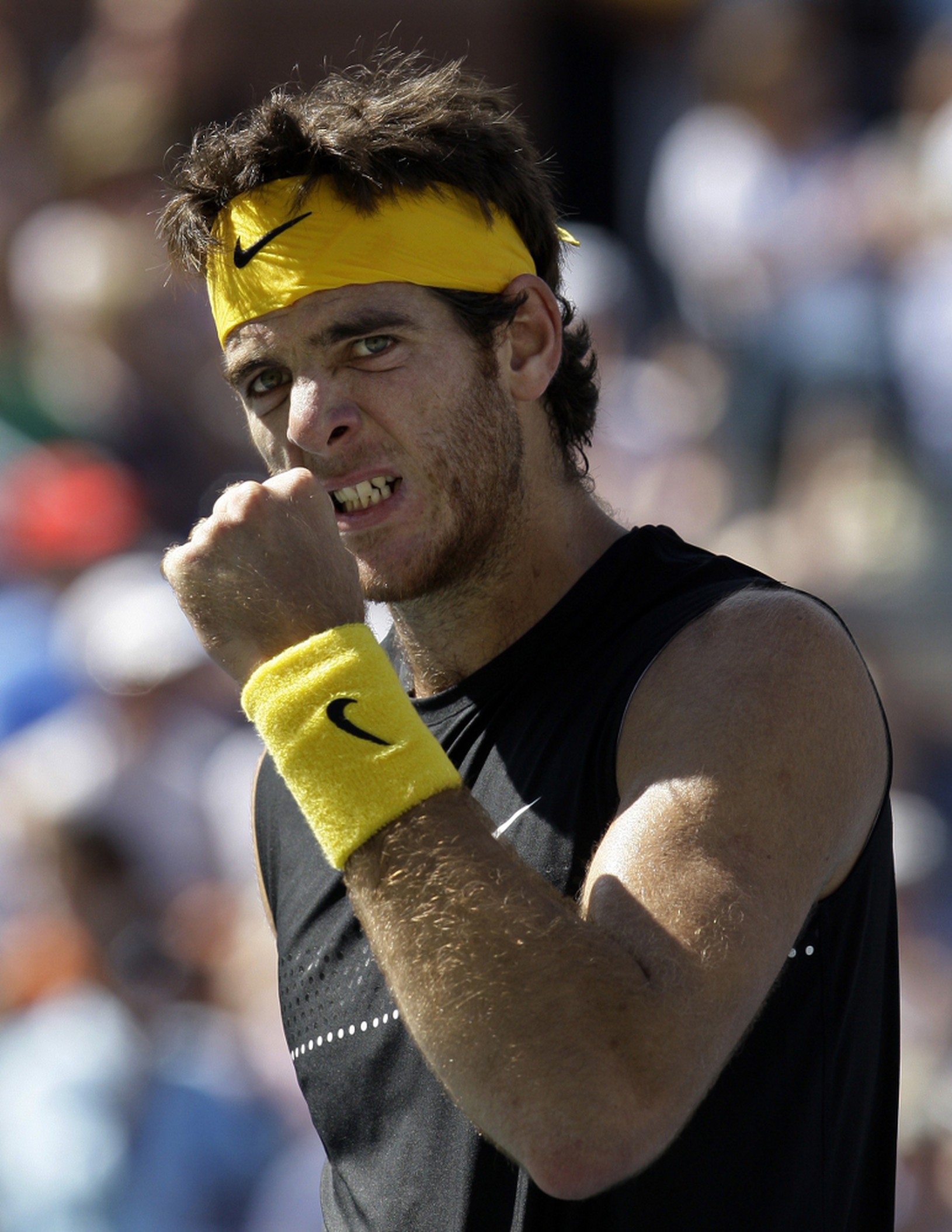 Juan Martin del Potro