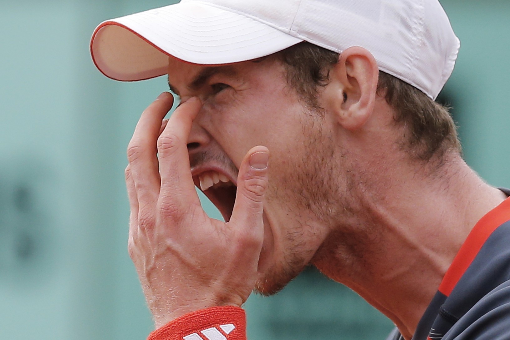 Andy Murray