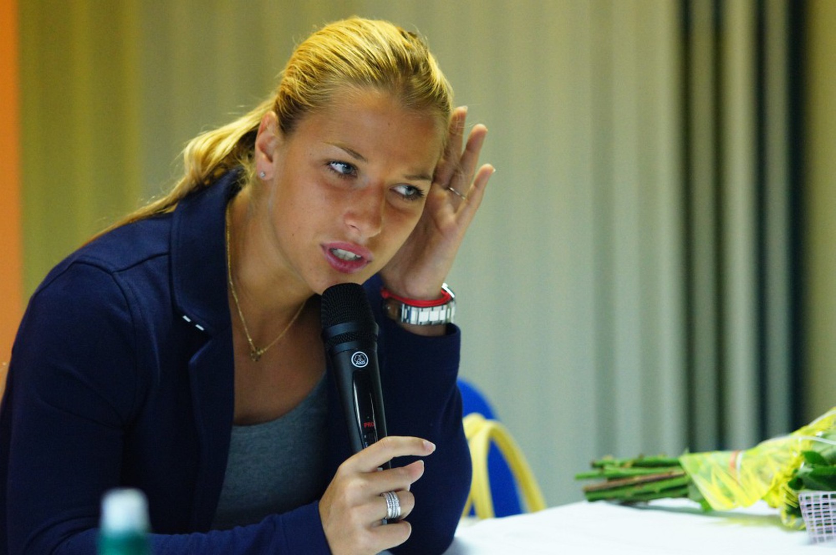 Dominika Cibulková