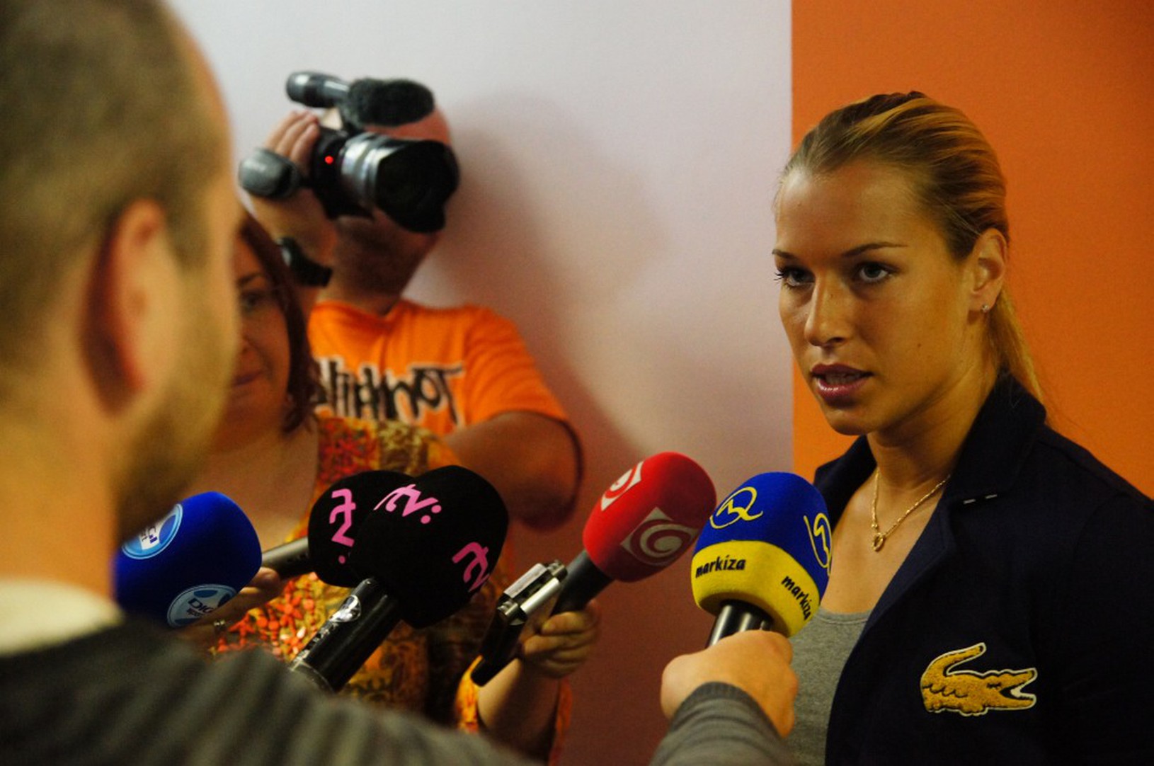 Dominika Cibulková