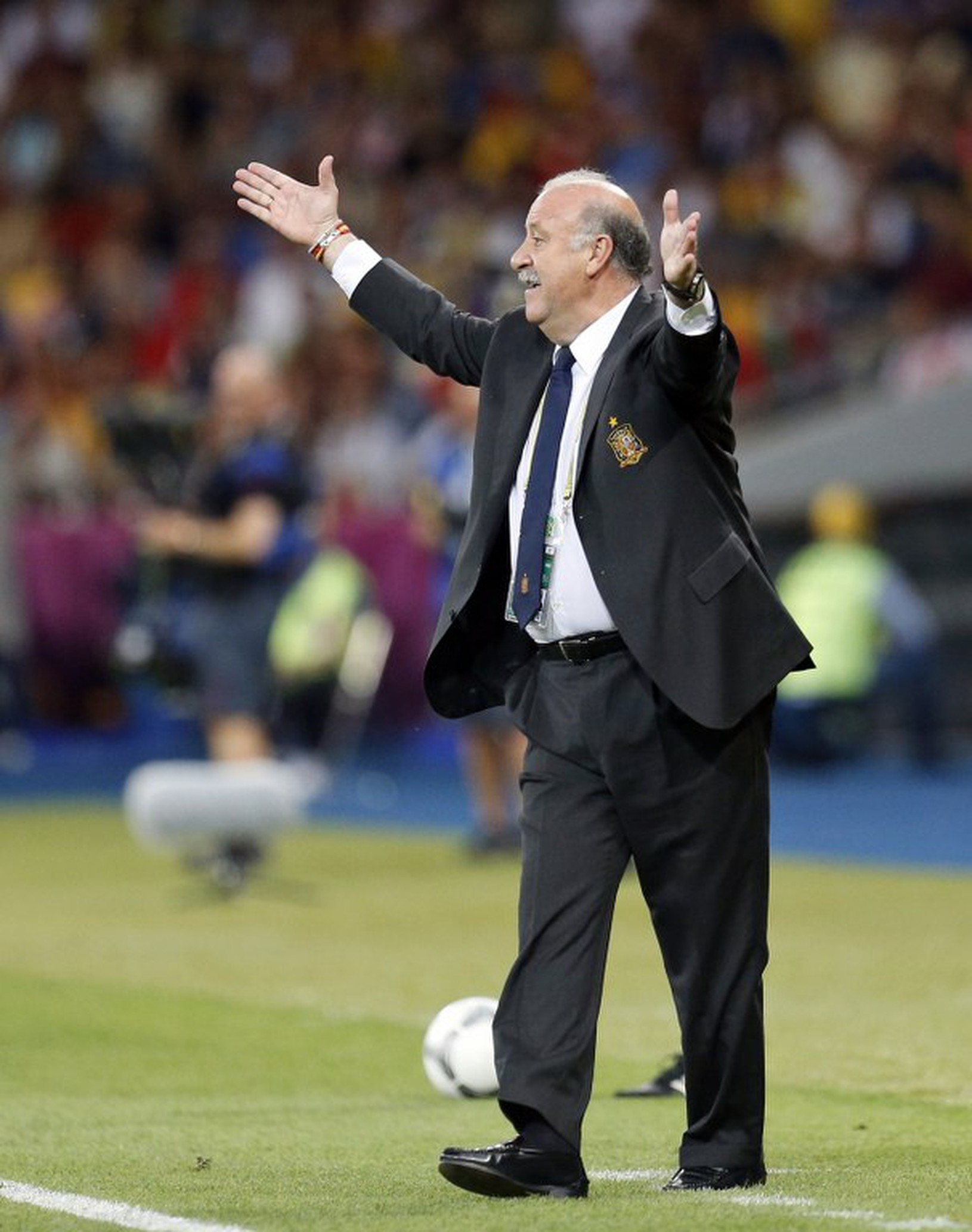 Vicente del Bosque 
