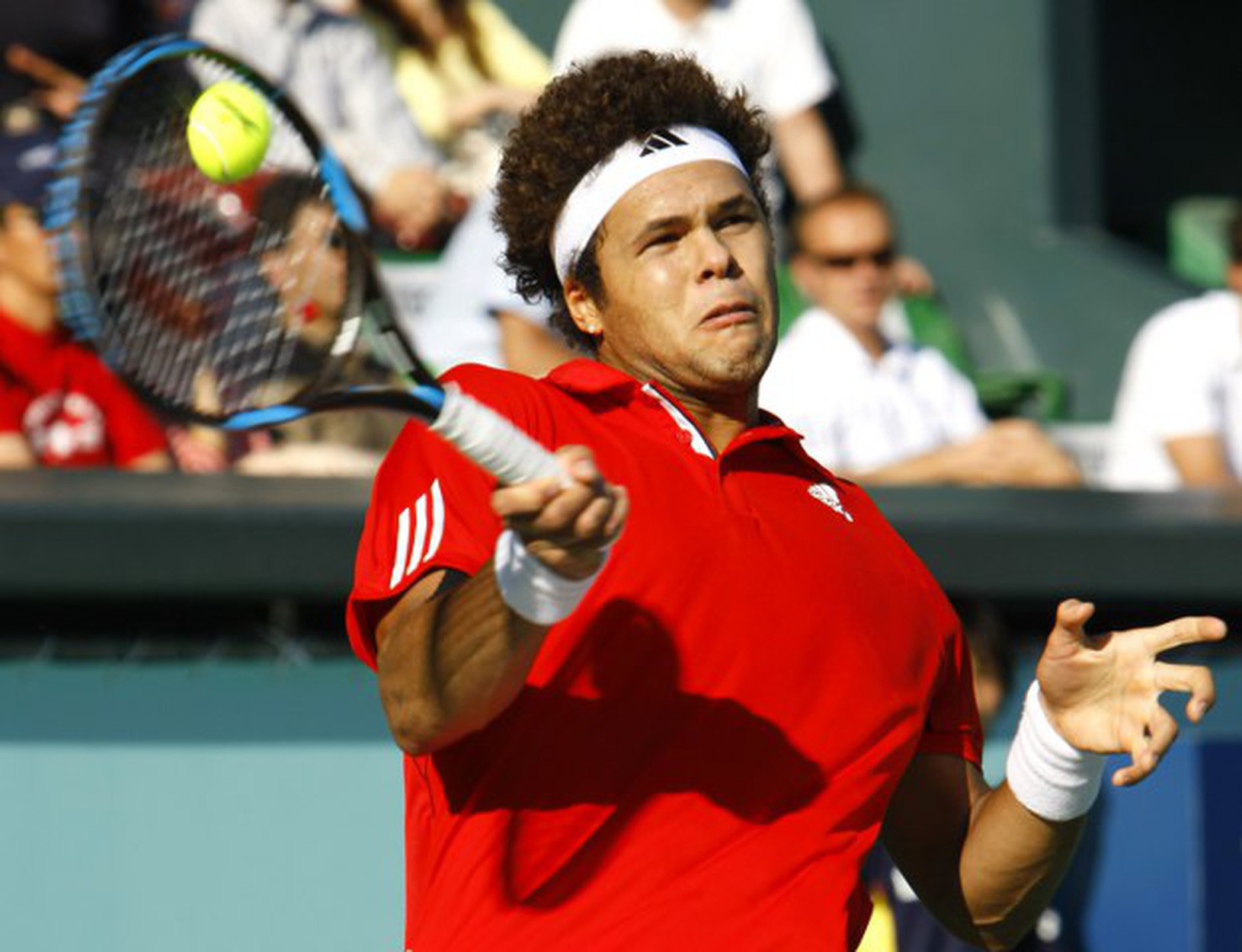 Jo-Wilfried Tsonga