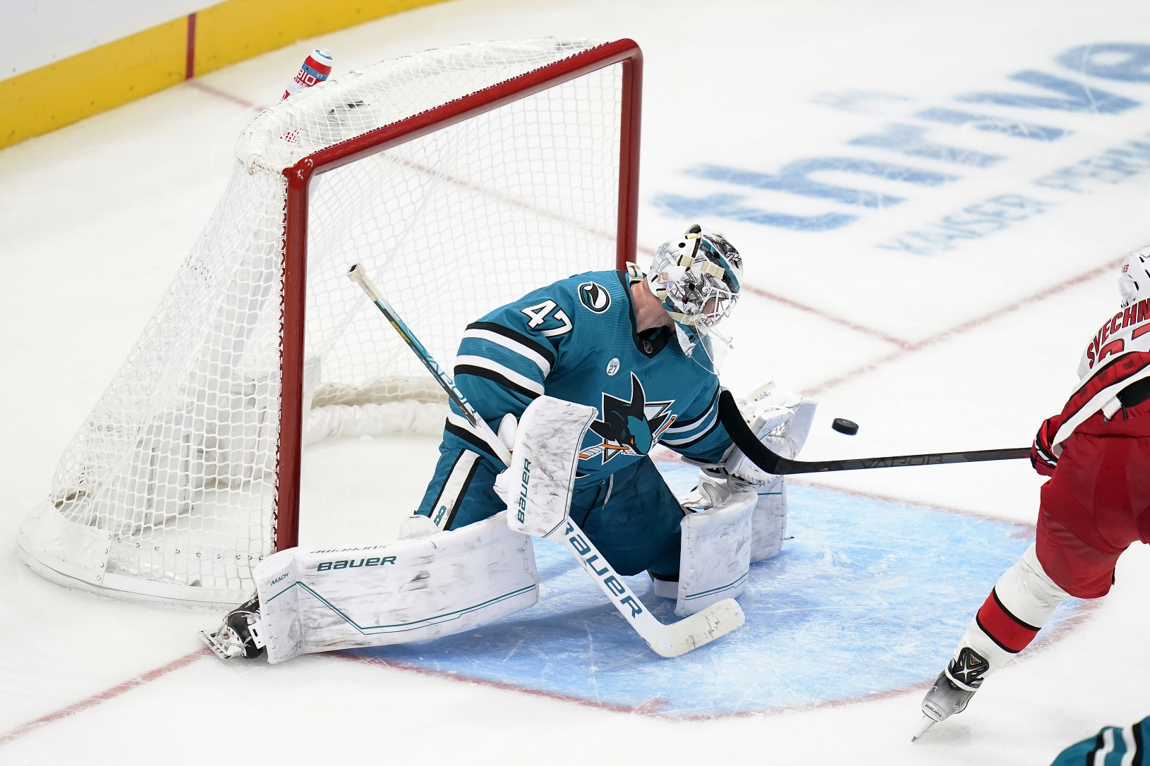 Brankár San Jose Sharks