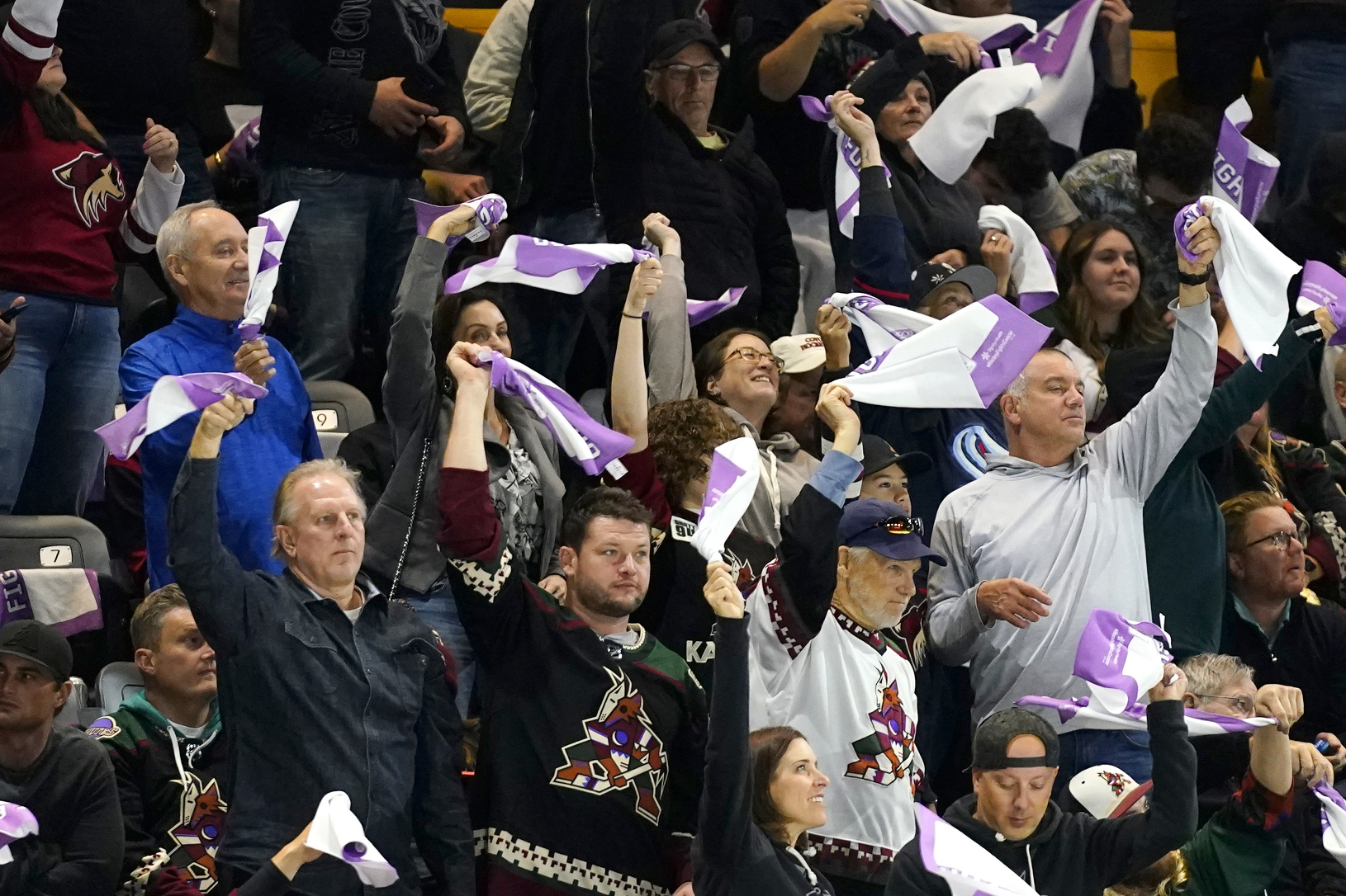 Fanúšikovia Arizony Coyotes