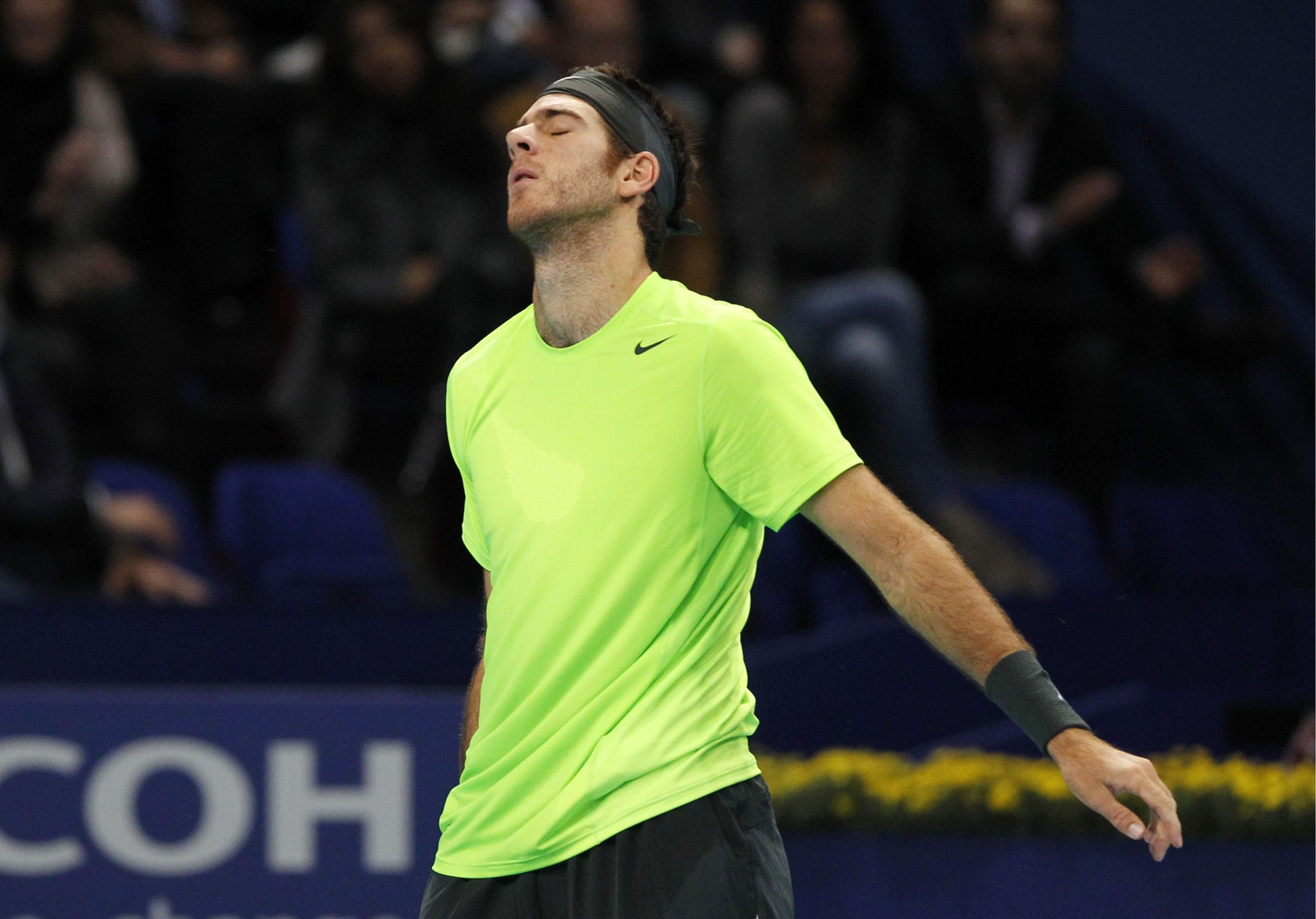 Juan Martin del Potro