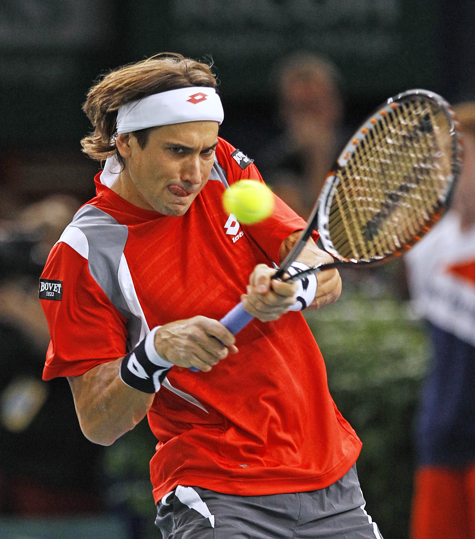 David Ferrer vo finále