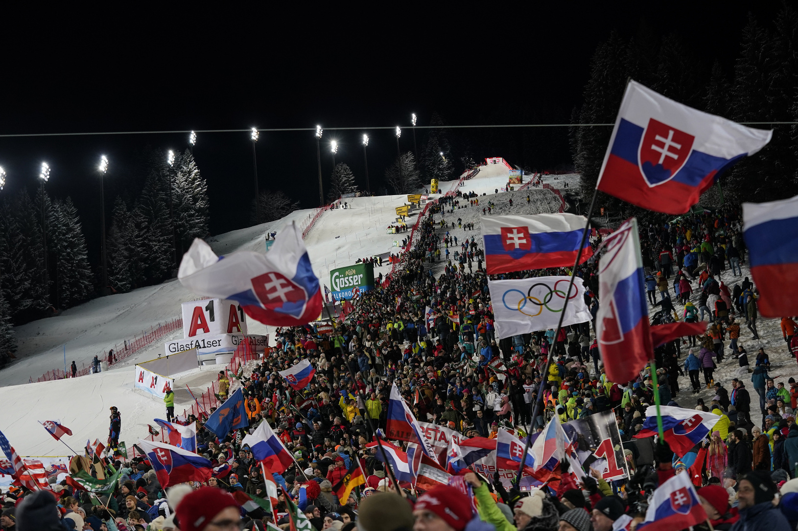 Na snímke slovenskí fanúšikovia