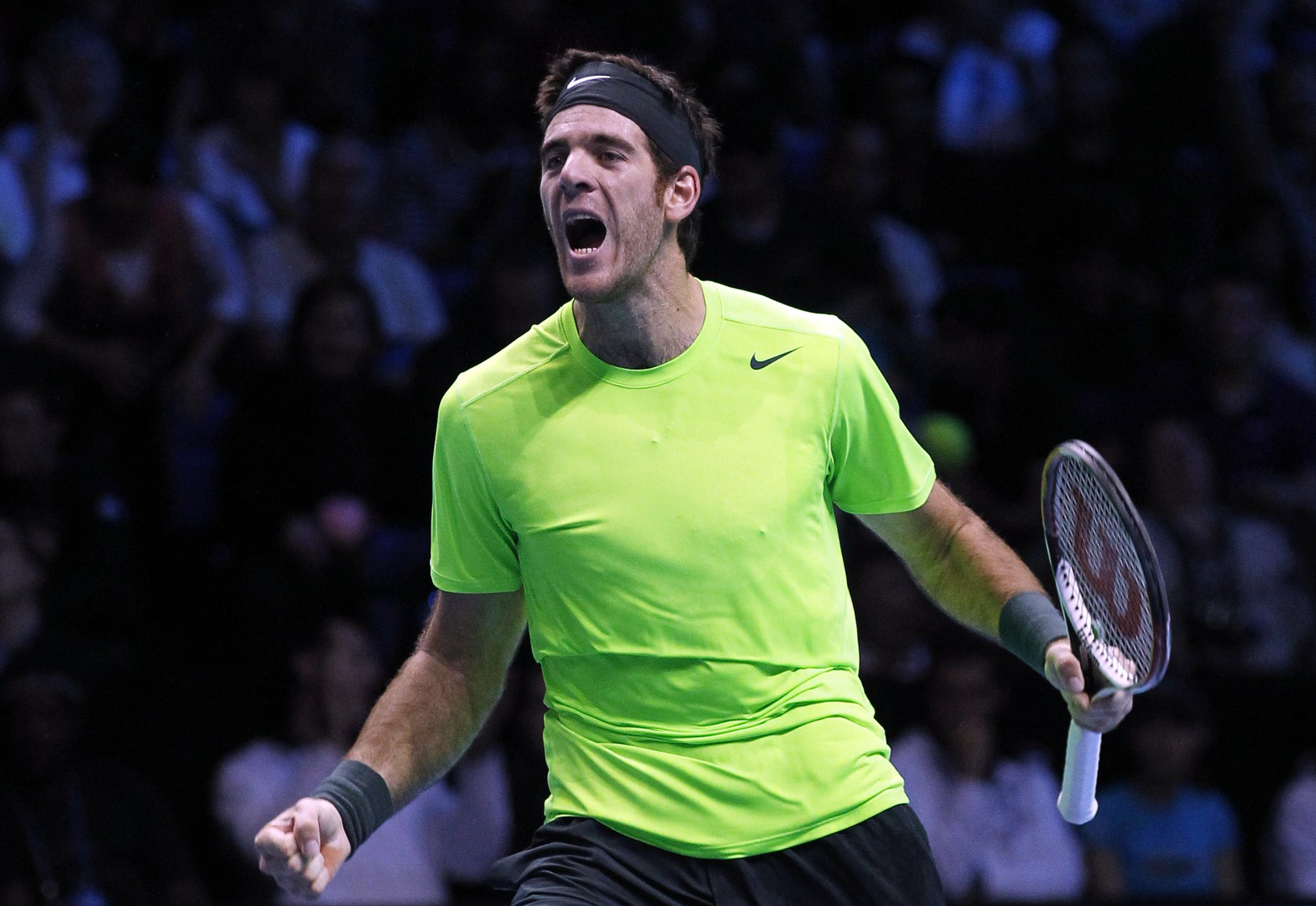 Juan Martín del Potro