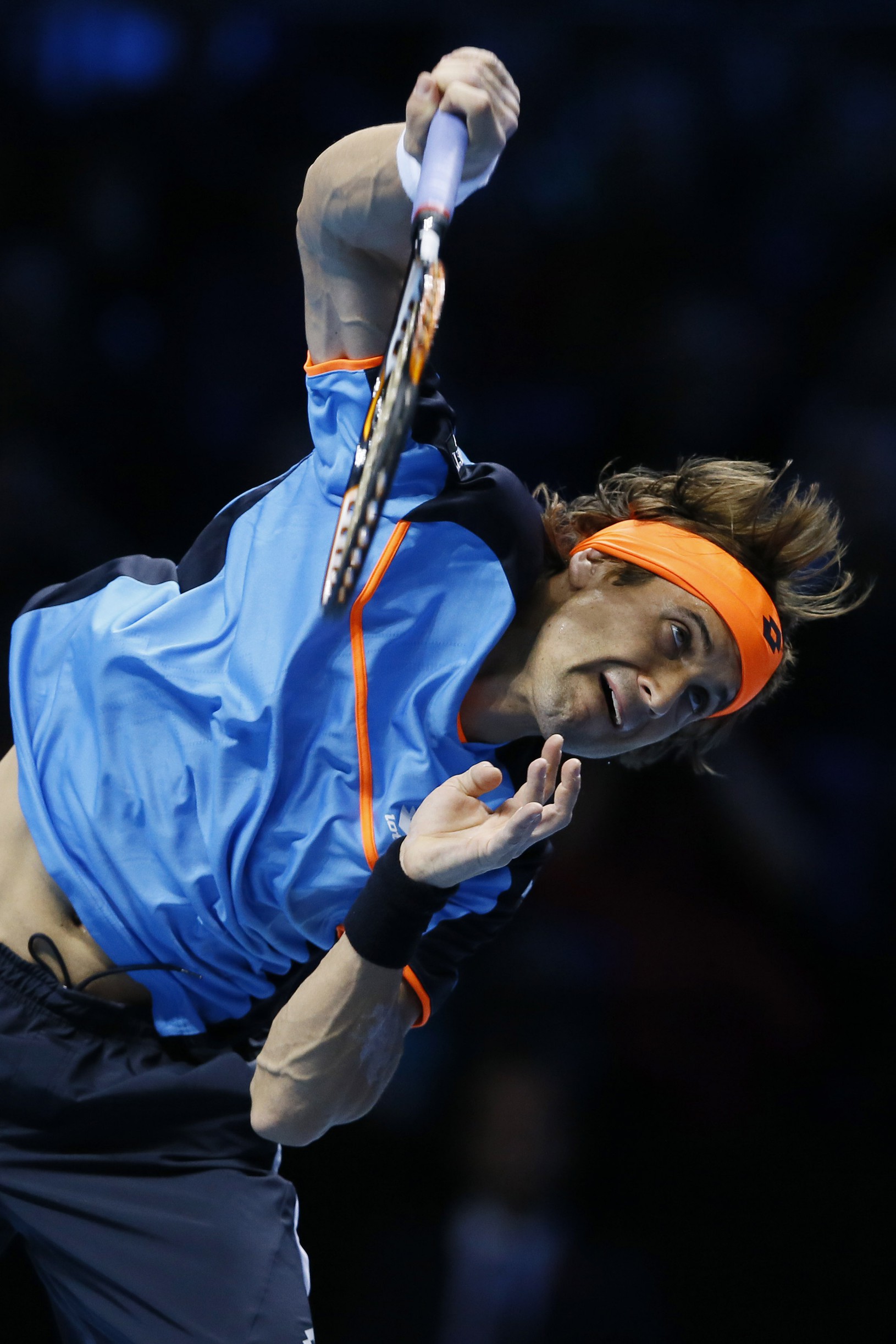 David Ferrer