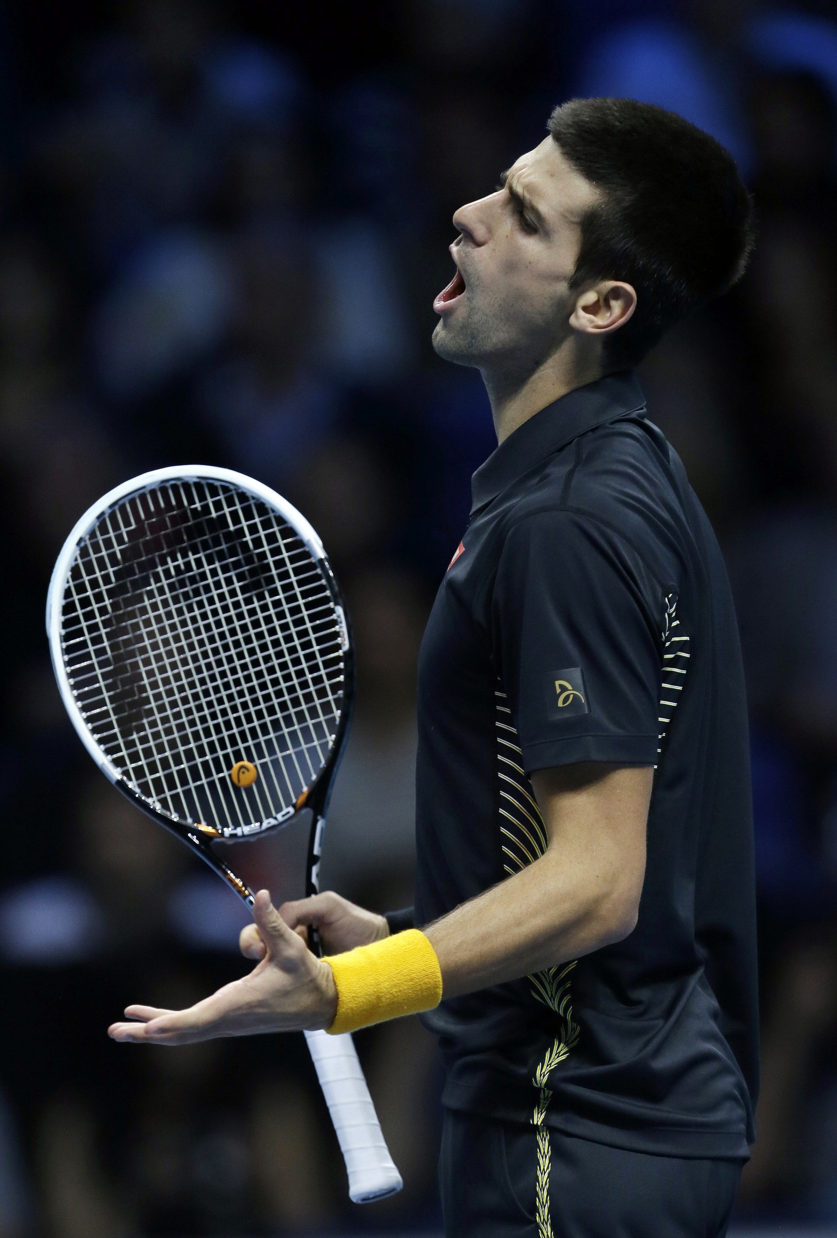 Novak Djokovič 