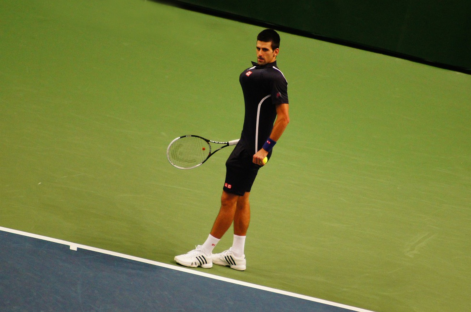 Novak Djokovič alias Serena