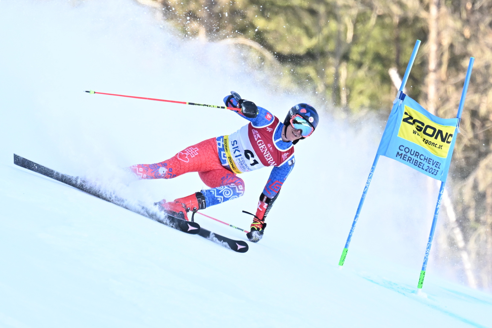 Na snímke slovenský lyžiar