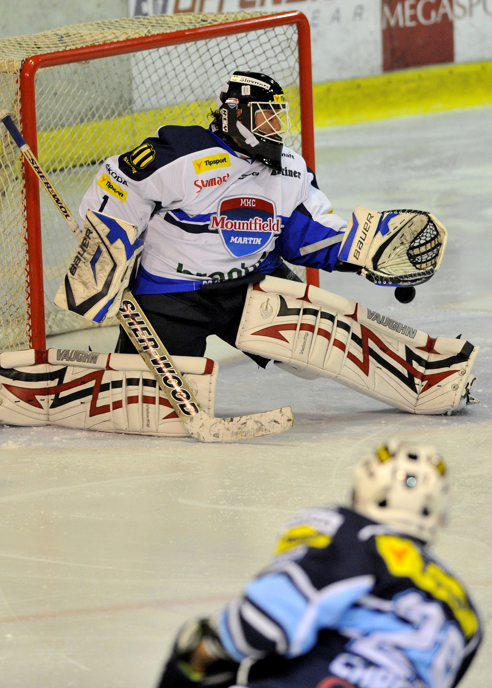 Tomáš Chrenko a brankár