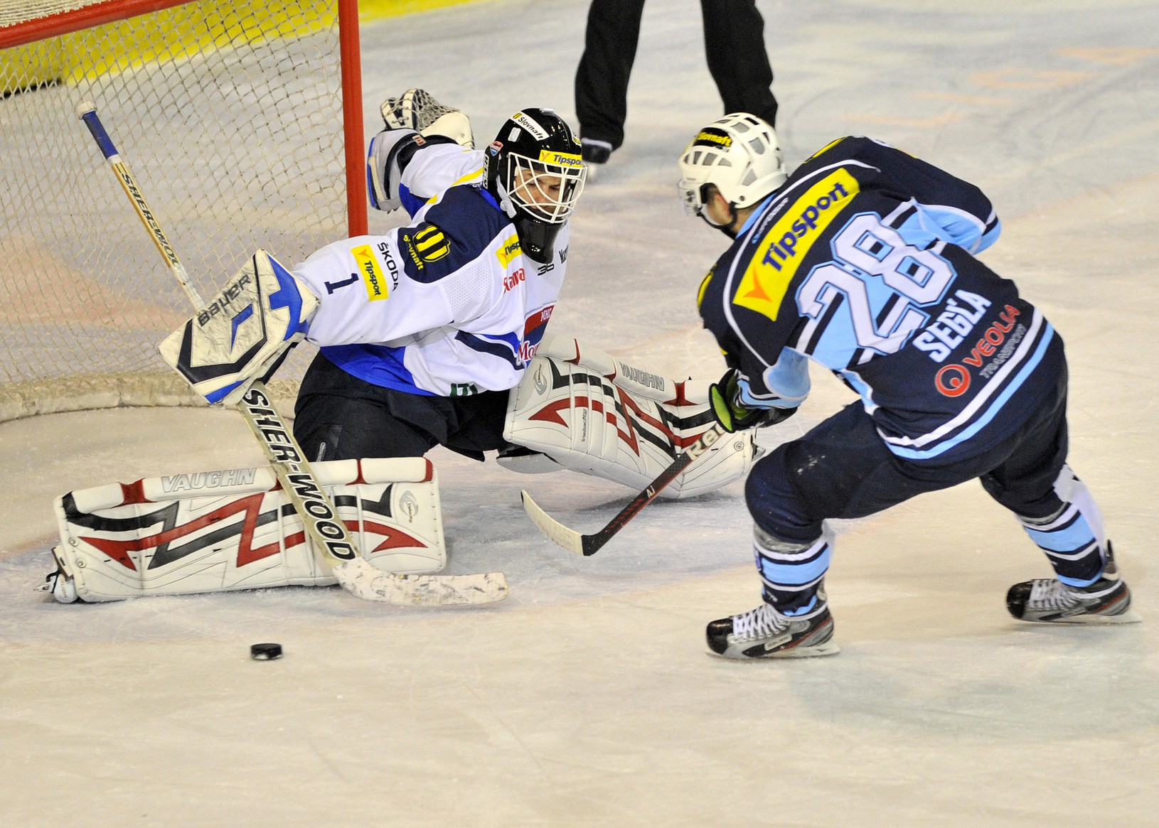 Martin Segľa a brankár