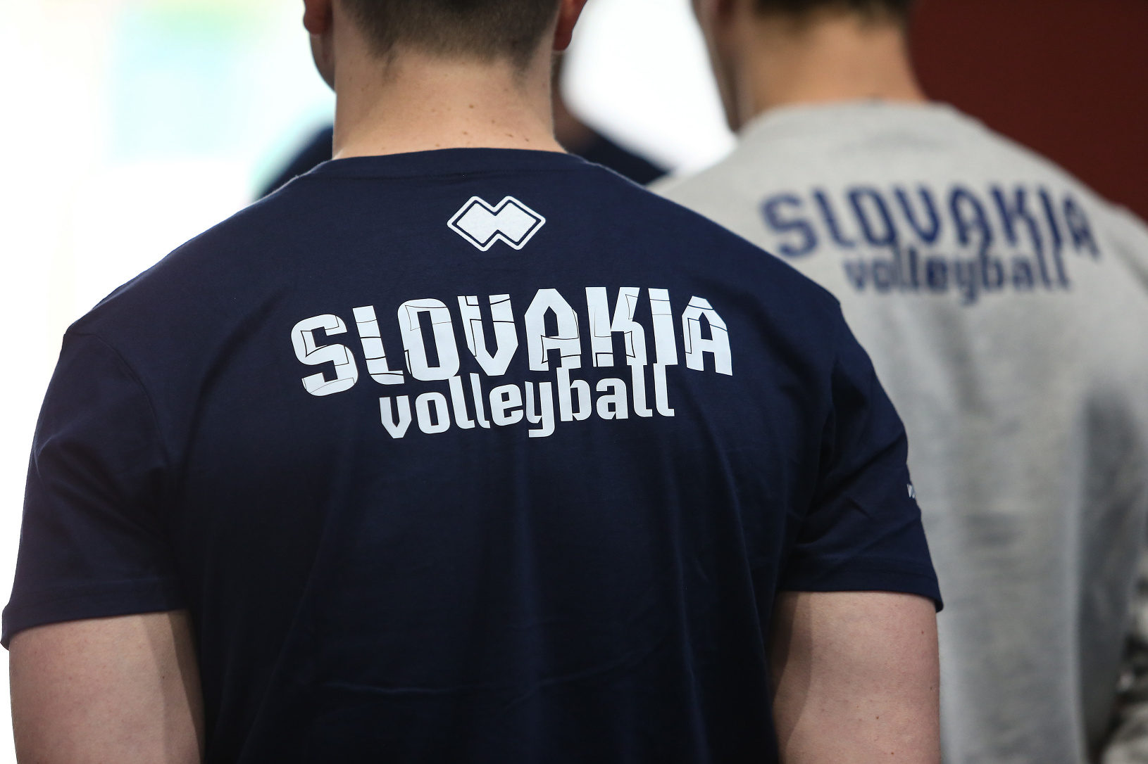 Na snímke slovenskí volejbalisti