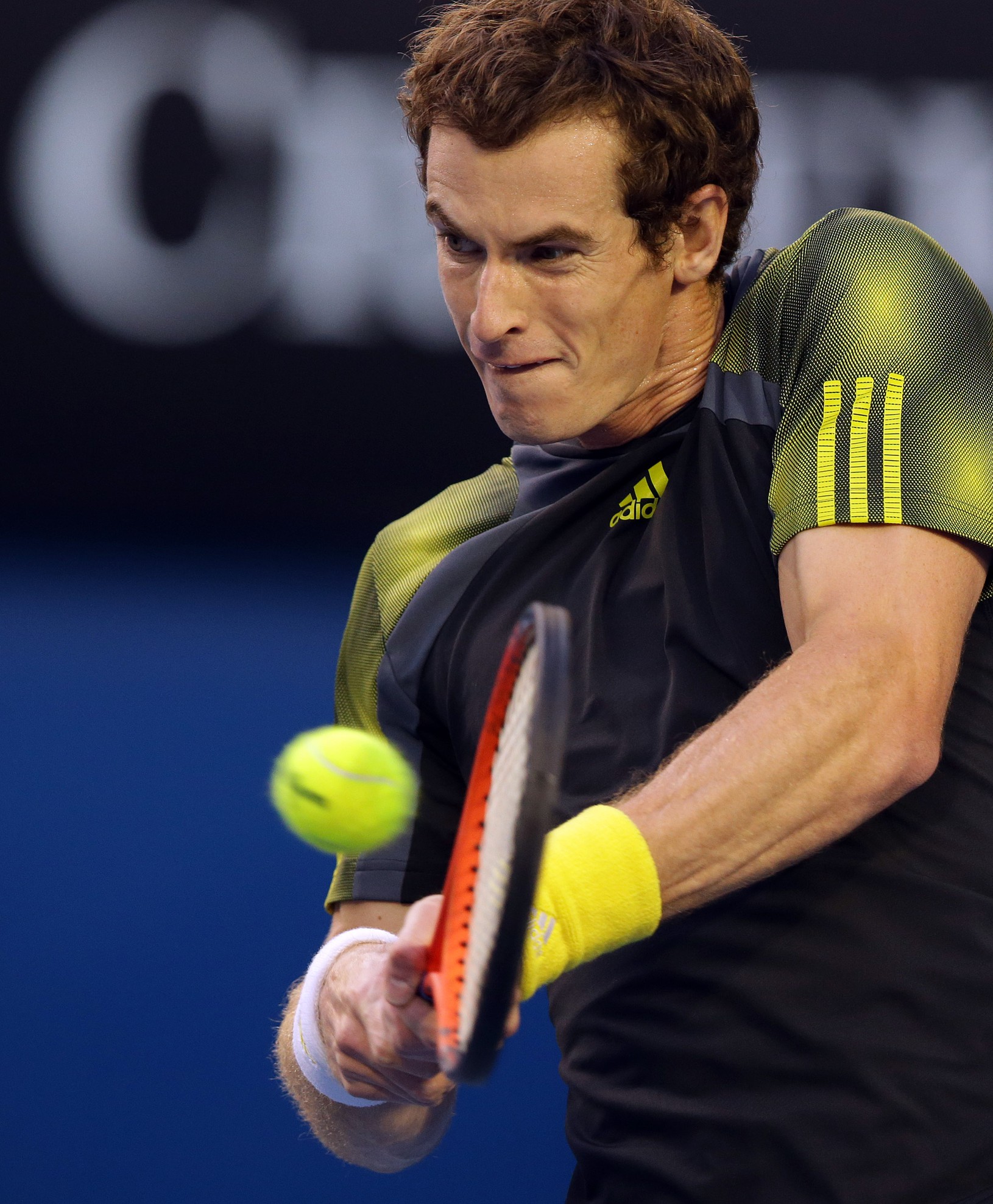 Andy Murray
