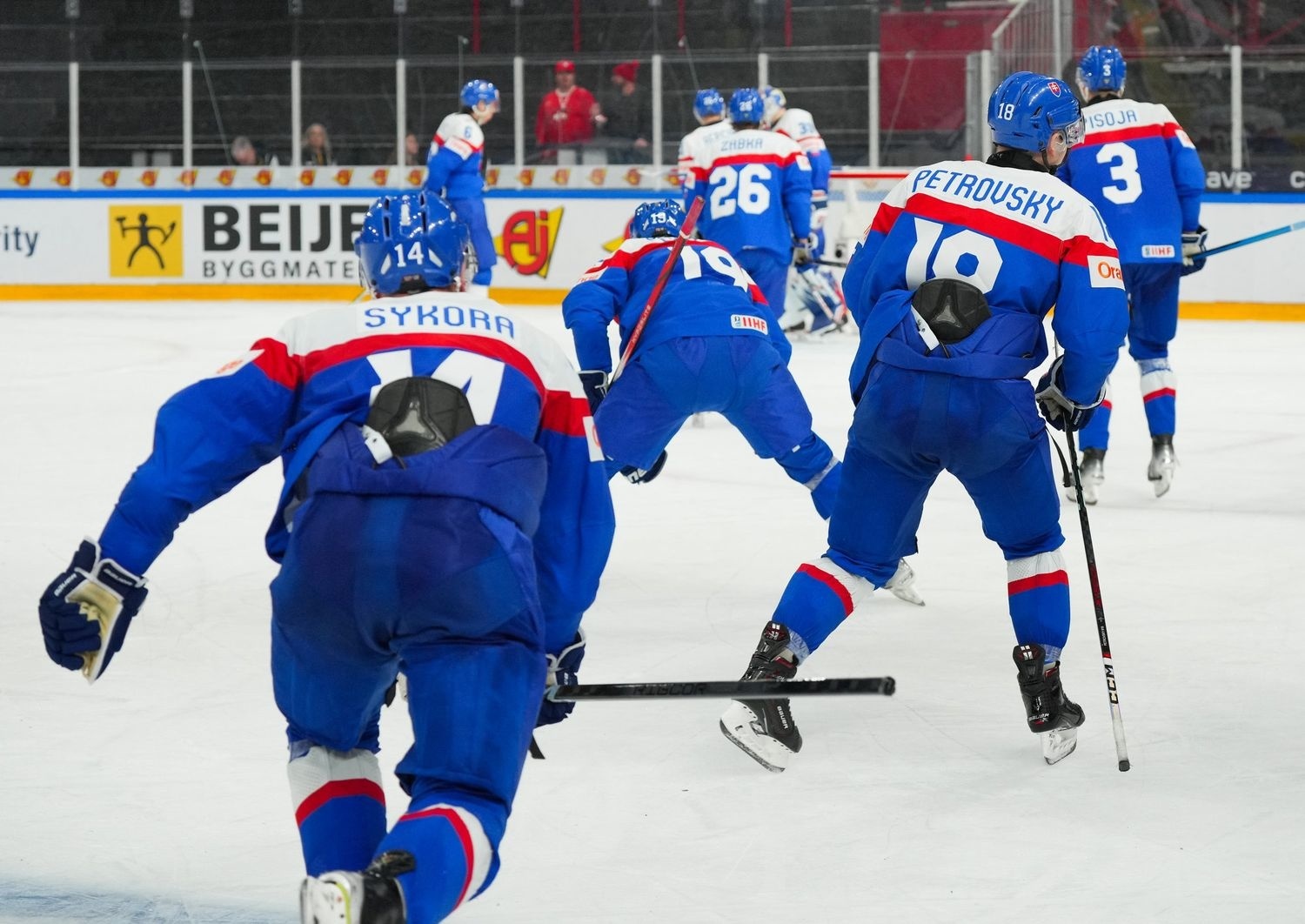 Slovenskí hokejisti sa radujú