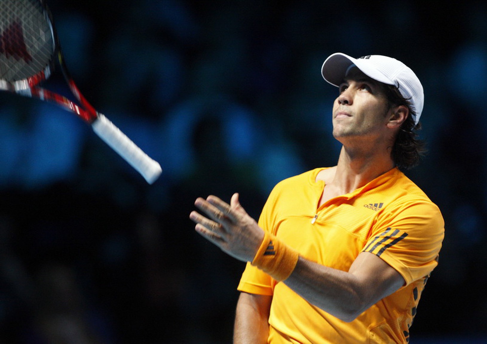 Fernando Verdasco