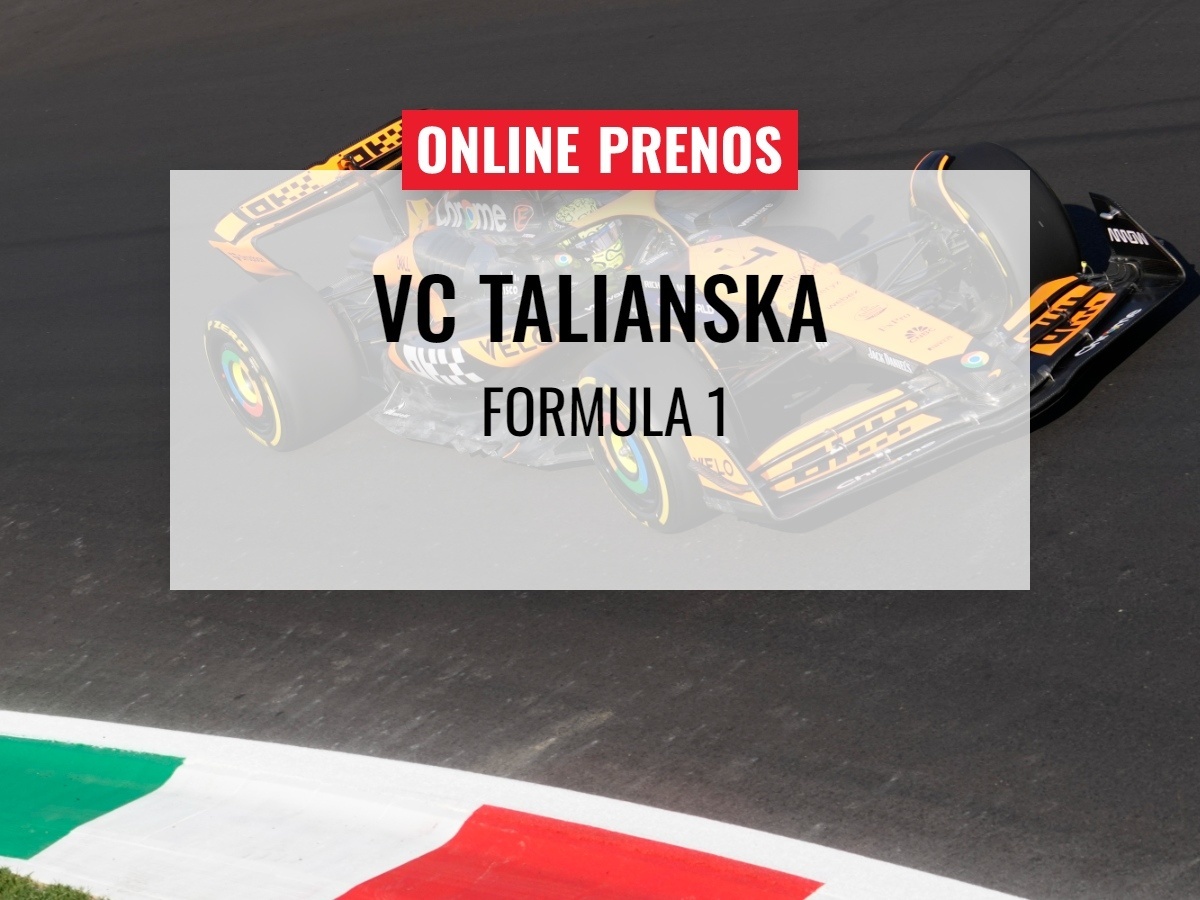 Max Verstappen počas vlaňajšej
