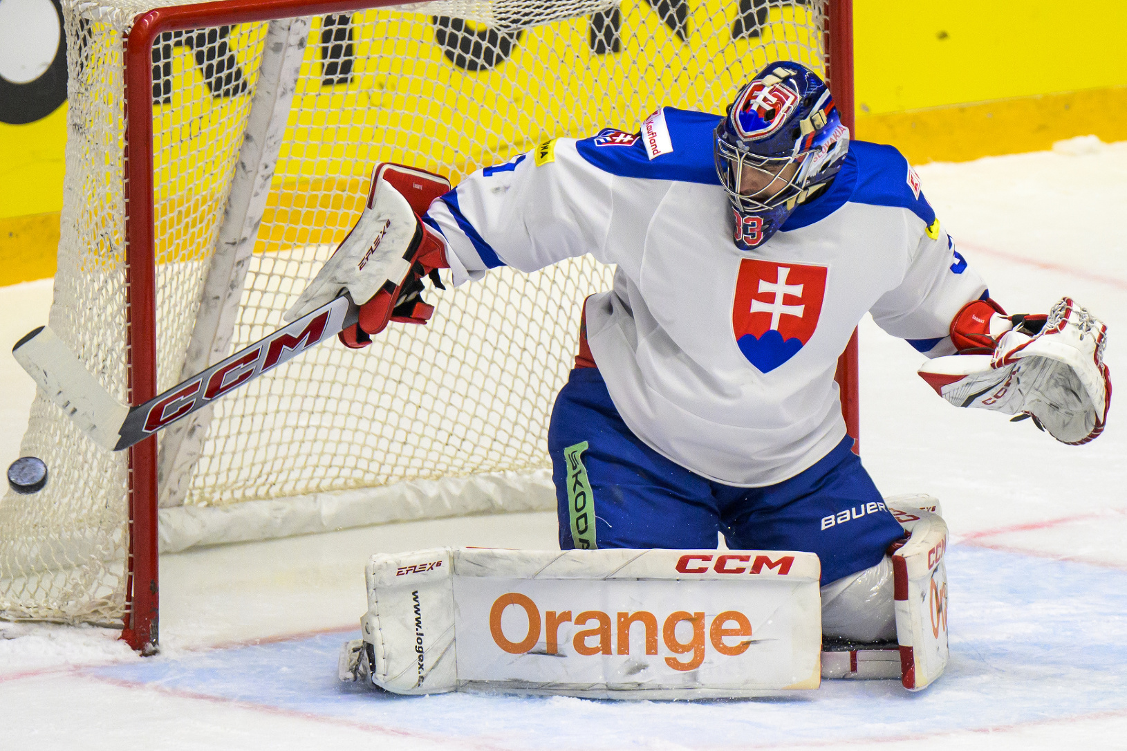 Na snímke brankár Stanislav