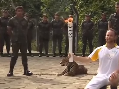 Jaguar prišiel o život