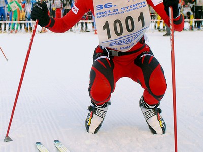 Alena Procházková 