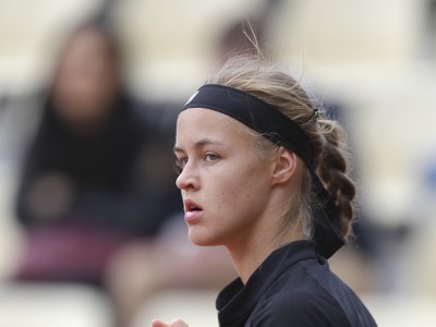 Anna Karolína Schmiedlová