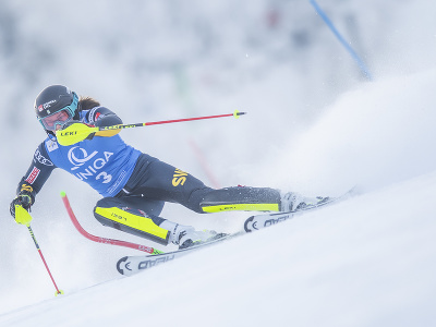 Na snímke švédska lyžiarka Anna Swennová Larssonová