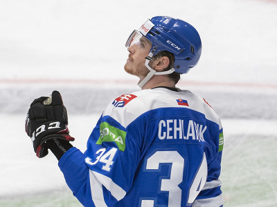 Slovenský hokejista Peter Cehlárik sa teší po strelení úvodného gólu