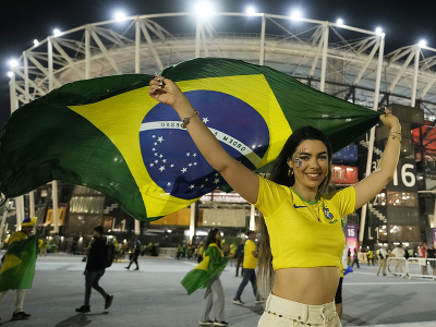 Fanynka Brazílie