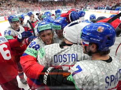 Oslavujúci českí hokejisti