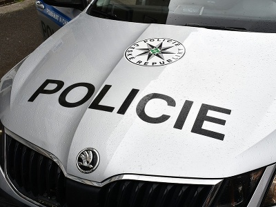 Policie ČR