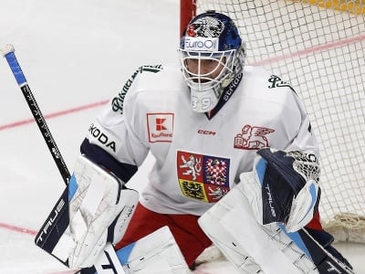 Dominik Pavlát v reprezentačnom