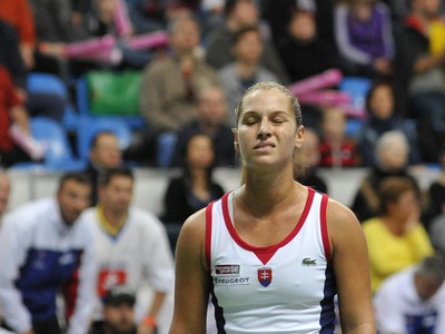 Dominika Cibulková v zápase proti Nemke Kerberovej