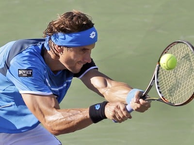 David Ferrer